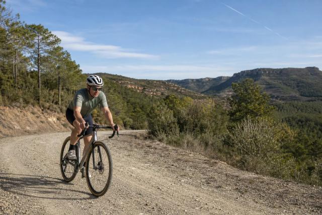 Cyclists riding gravel bikes along a pine-forest track east of Barcelona